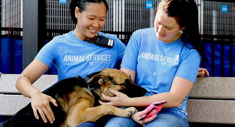 Two volunteers showing love to a shelter dog.