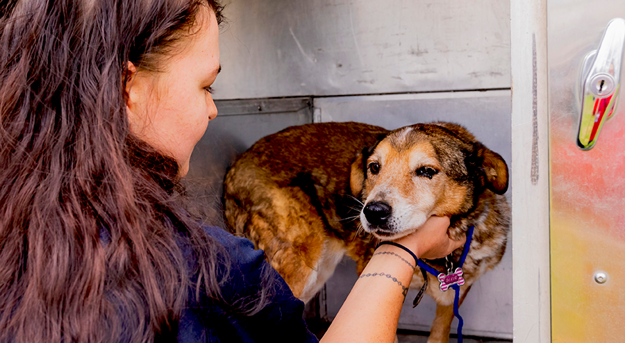 A control officer lovingly petting a dog